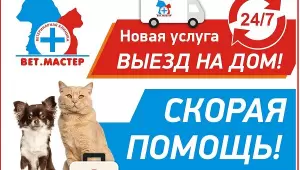 Фотография ВетМастер 5